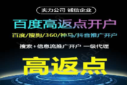 百度推广策略揭秘：某行业领头羊的成功经验
